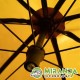 MK BROLLY  60"