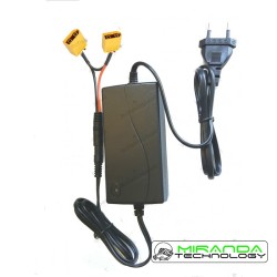 Cargador doble para baterías de Lithio 