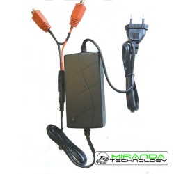 Cargador doble para baterías de Lithio 